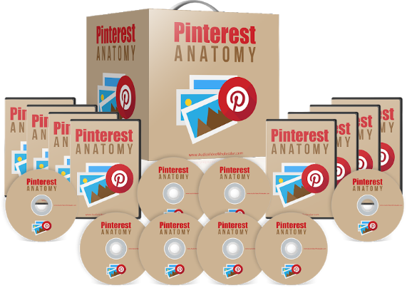 Pinterest Anatomy